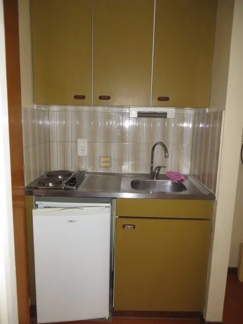 Studio à Gaillard de 25,97 m² avec cave, parking et locataire en place 