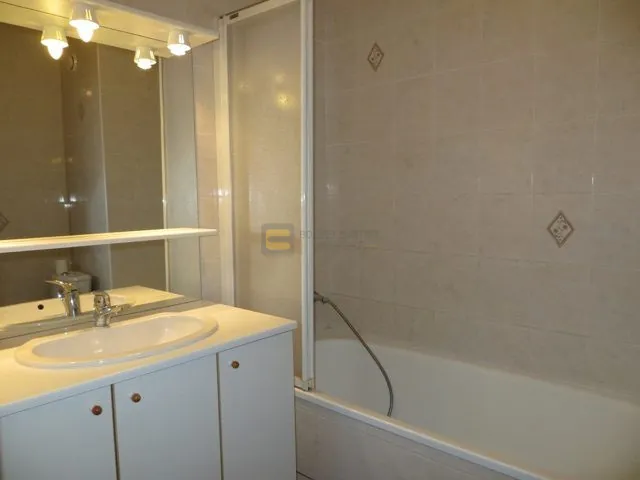 Studio à Gaillard de 25,97 m² avec cave, parking et locataire en place 