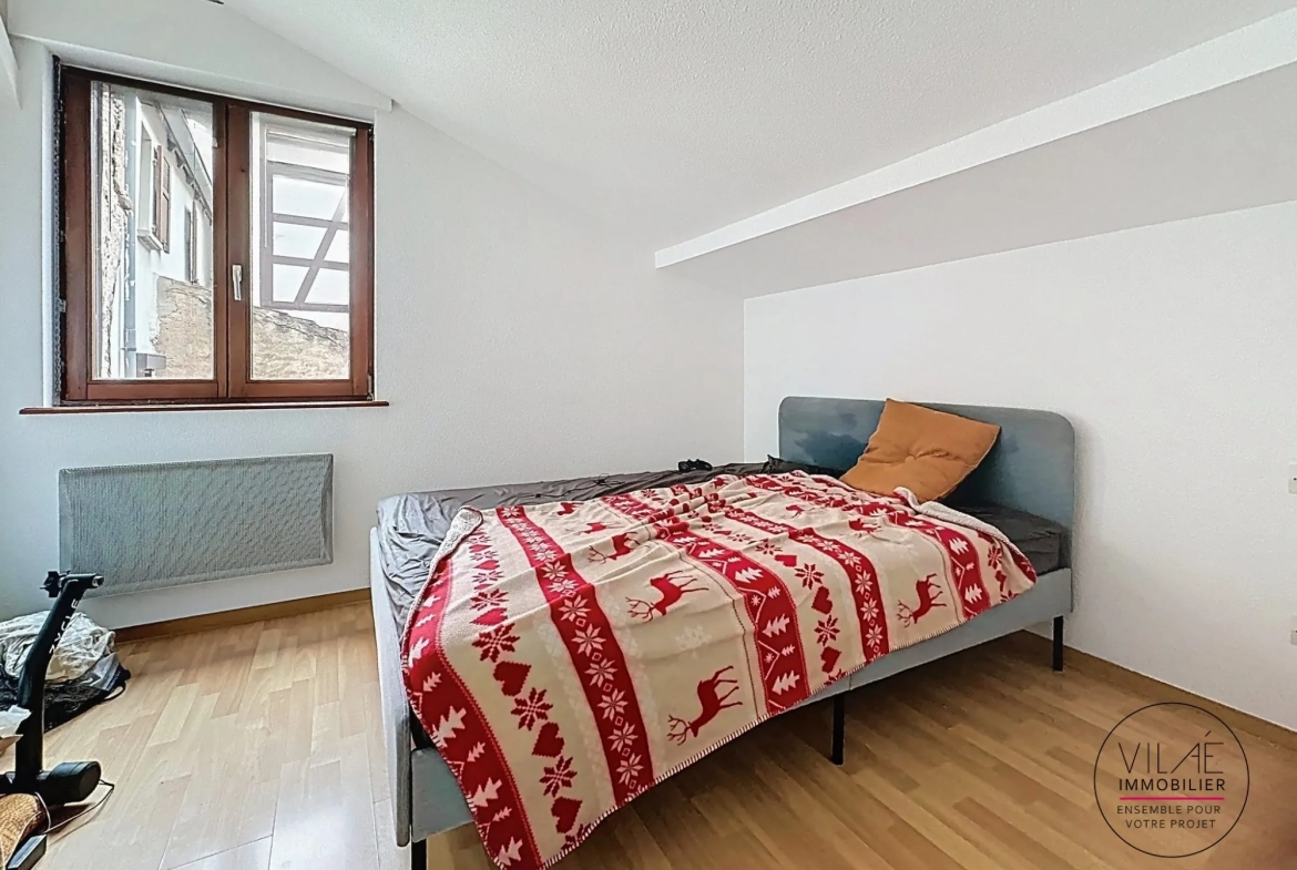 Appartement lumineux de 24,80 m² à Obernai, idéal investissement locatif 