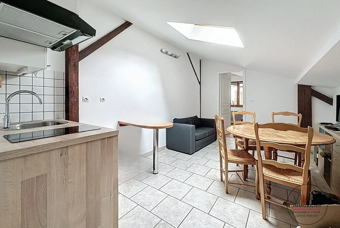 Appartement lumineux de 24,80 m² à Obernai, idéal investissement locatif 