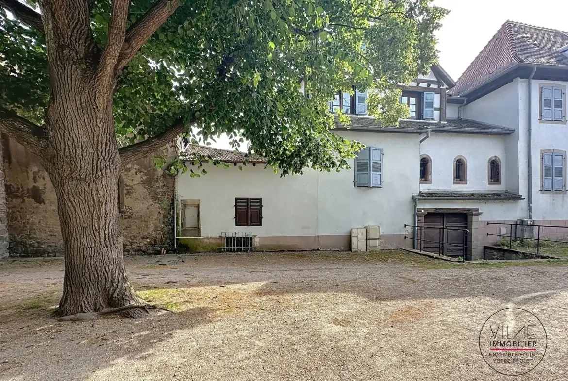 Appartement lumineux de 24,80 m² à Obernai, idéal investissement locatif 