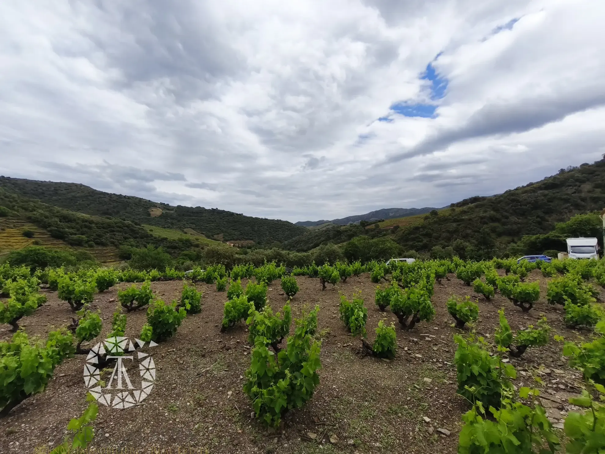 Terrain constructible rare de 4830 m² à Banyuls-sur-Mer proche plage 