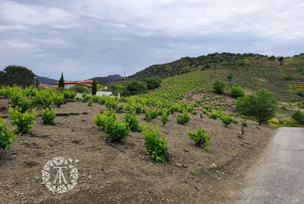 Terrain constructible rare de 4830 m² à Banyuls-sur-Mer proche plage 