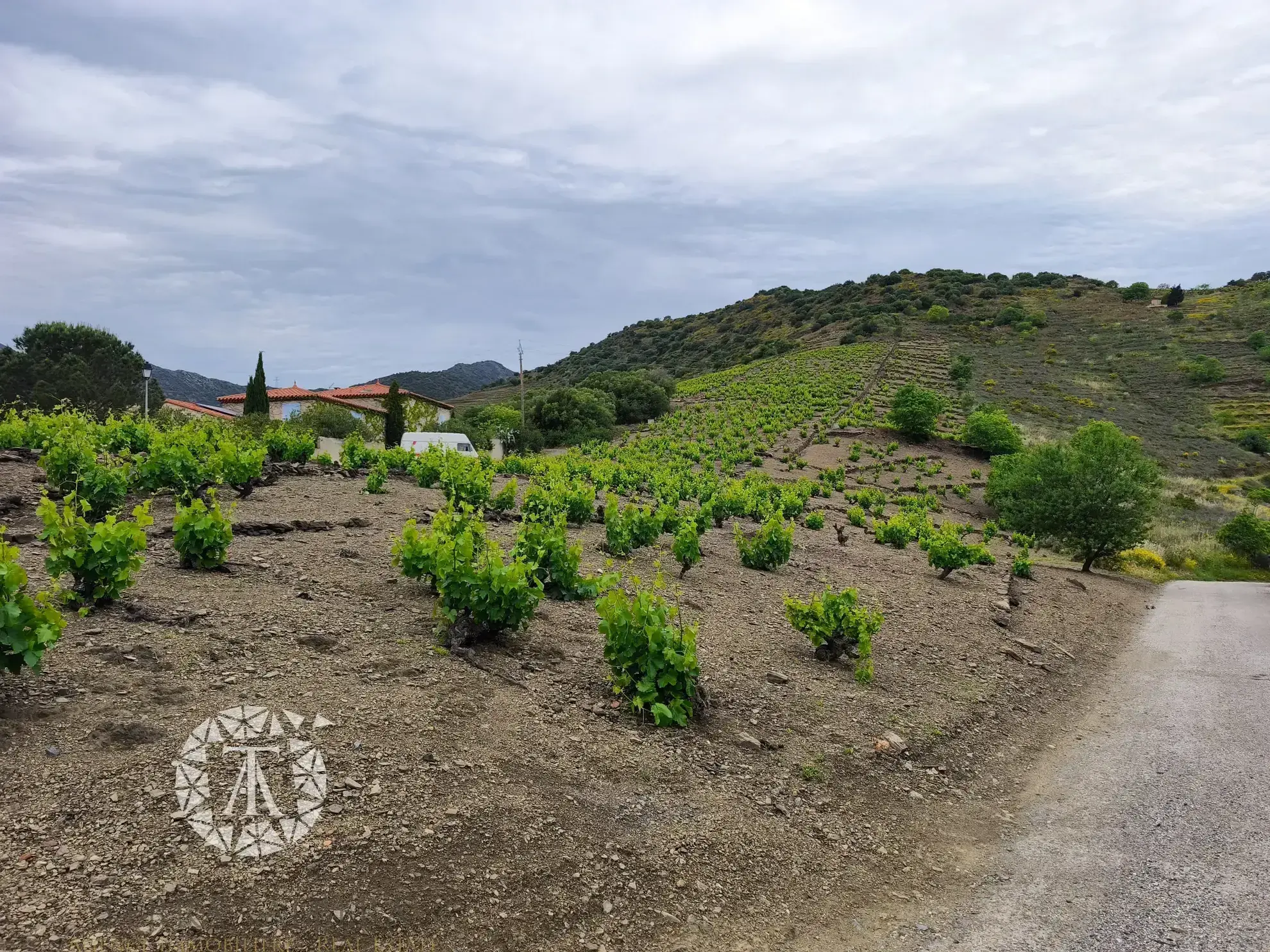 Terrain constructible rare de 4830 m² à Banyuls-sur-Mer proche plage 