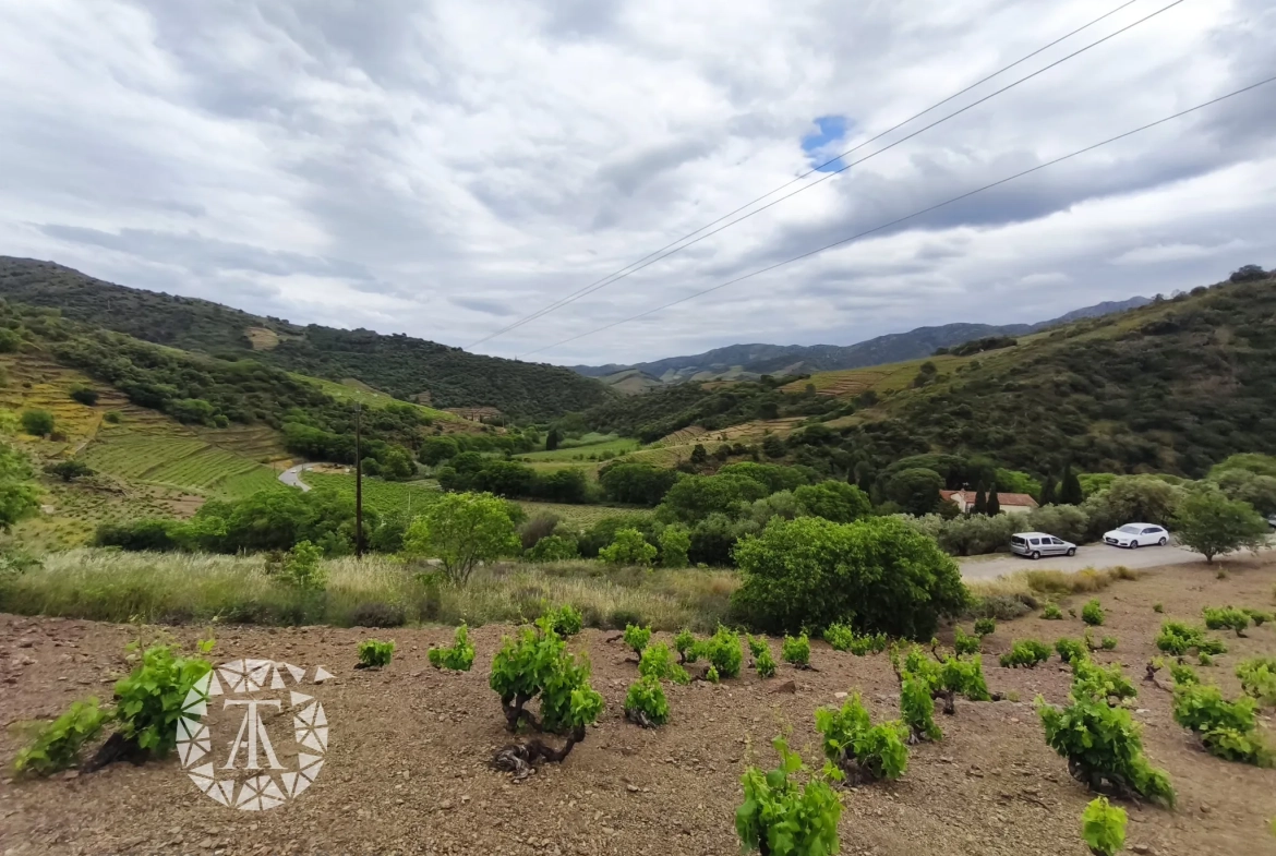 Terrain constructible rare de 4830 m² à Banyuls-sur-Mer proche plage 