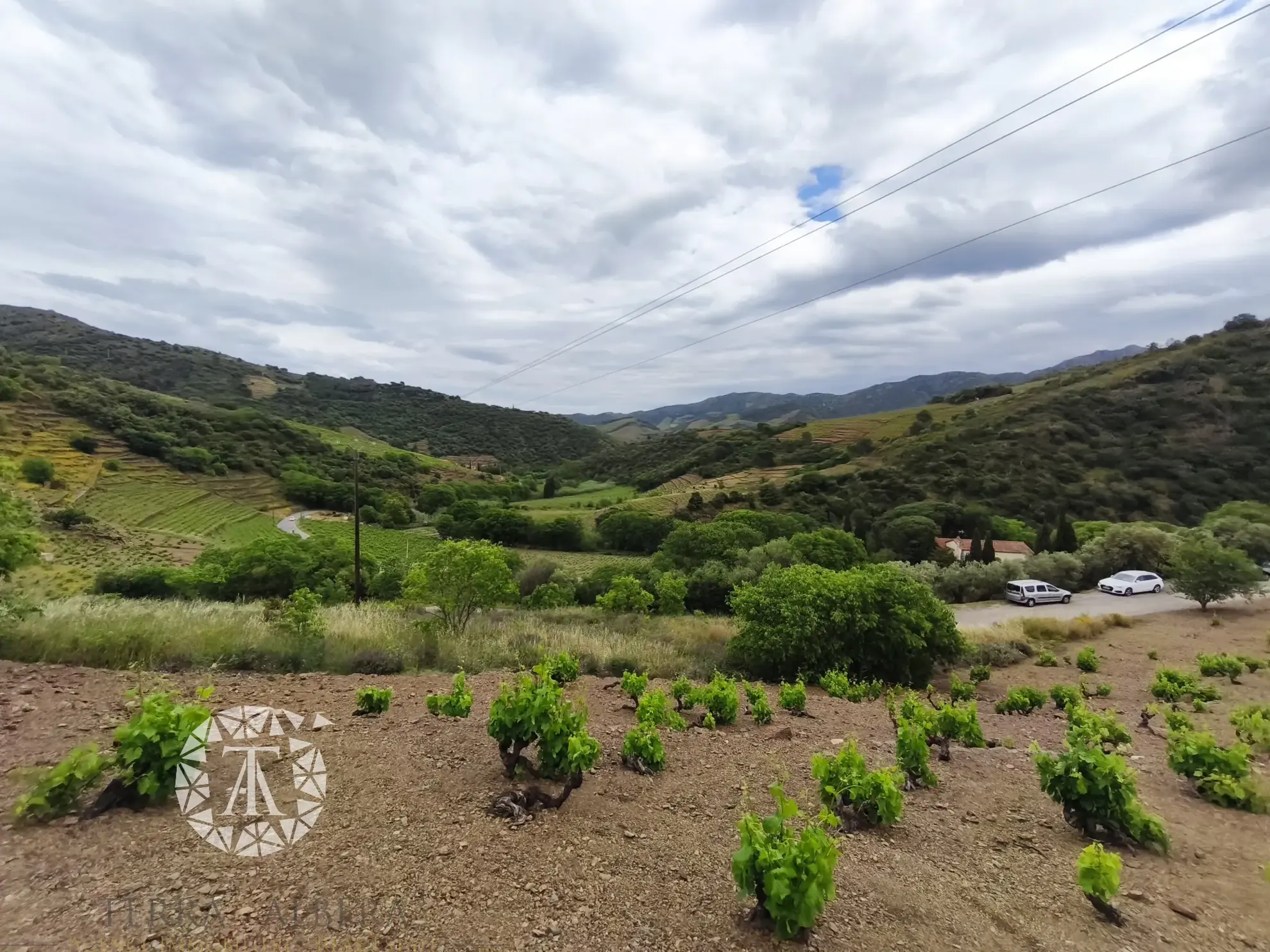 Terrain constructible rare de 4830 m² à Banyuls-sur-Mer proche plage 