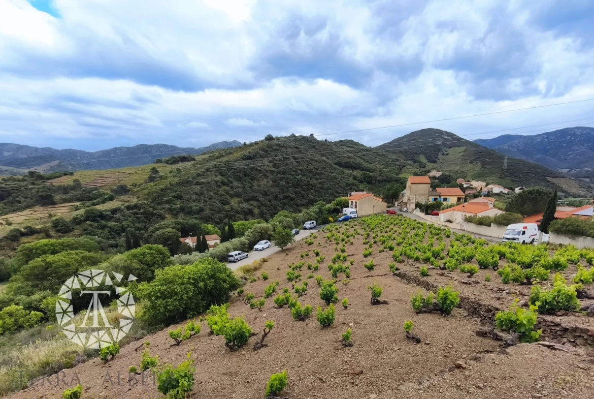 Terrain constructible rare de 4830 m² à Banyuls-sur-Mer proche plage 