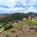 Terrain constructible rare de 4830 m² à Banyuls-sur-Mer proche plage