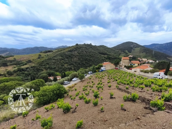 Terrain constructible rare de 4830 m² à Banyuls-sur-Mer proche plage