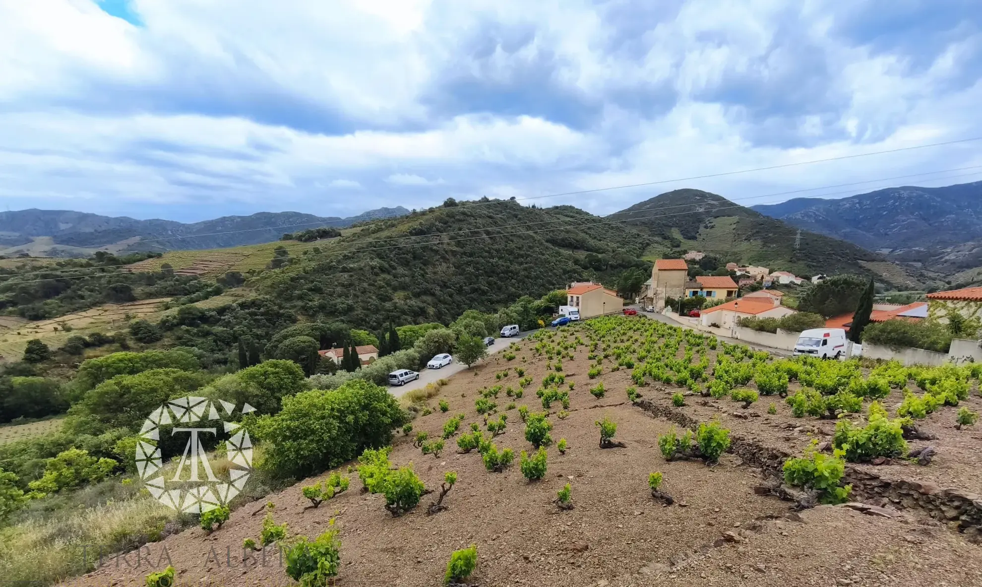 Terrain constructible rare de 4830 m² à Banyuls-sur-Mer proche plage 