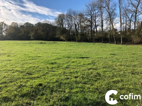 Terrain plat de 1306 m² à Saubole pour construction - Cadre paisible