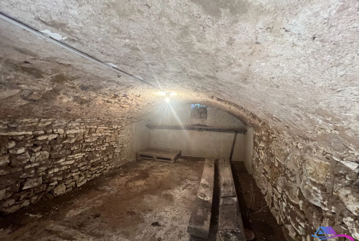 CAVE Maison rénovée de 74 m² à Châteaumeillant avec grand terrain et dépendance 