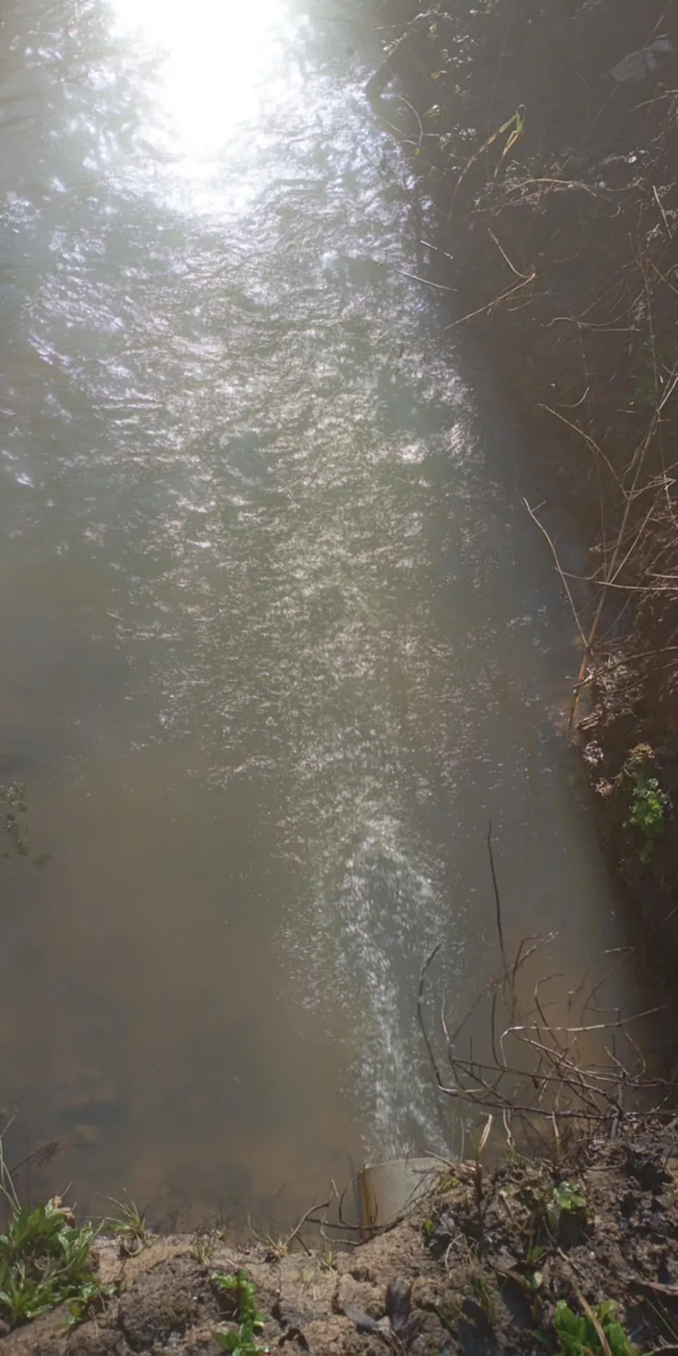 Étang privé de 1,6 ha classé pisciculture à vendre près de Périgueux 