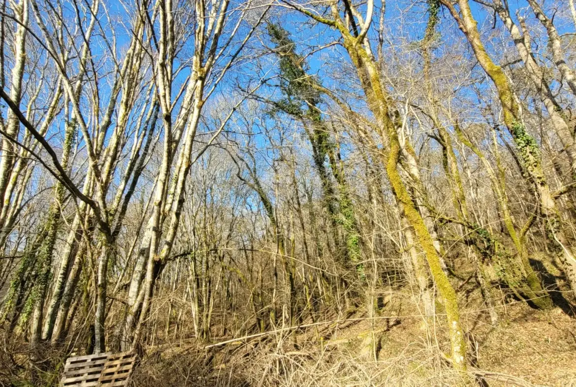 Étang privé de 1,6 ha classé pisciculture à vendre près de Périgueux 