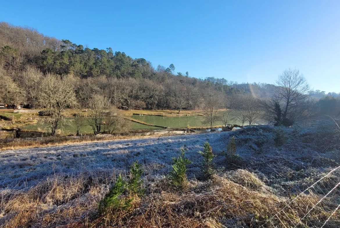 Étang privé de 1,6 ha classé pisciculture à vendre près de Périgueux 
