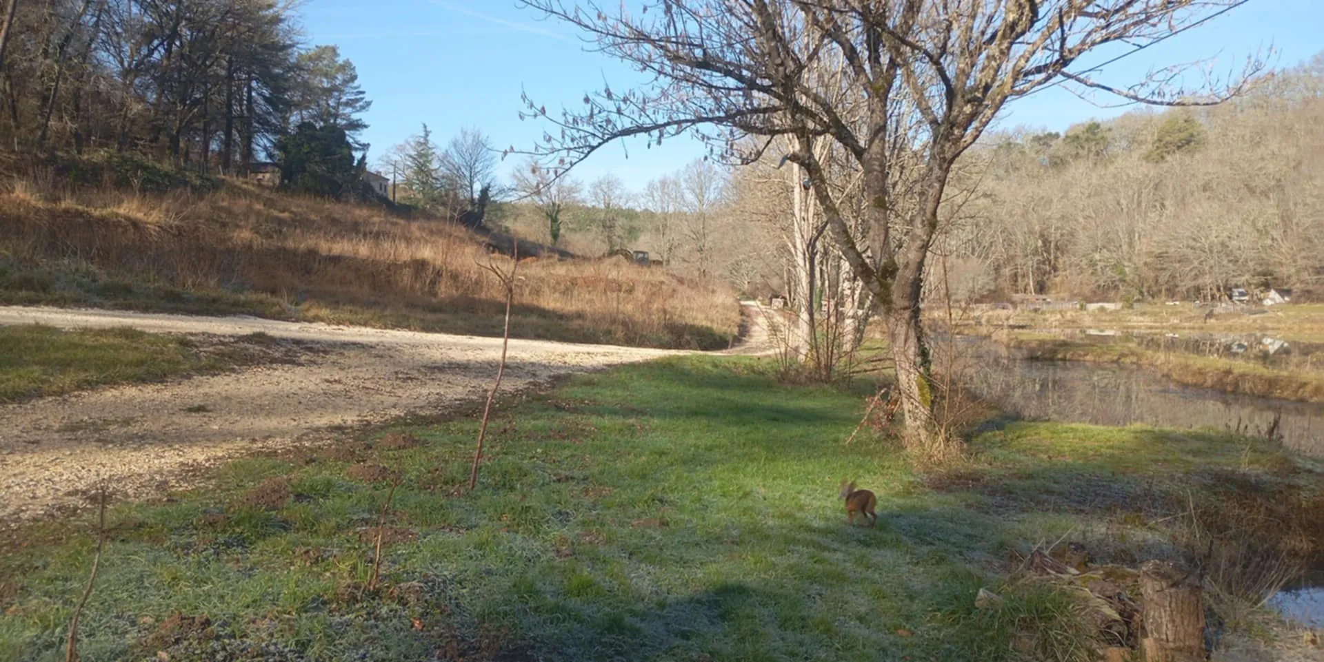 Étang privé de 1,6 ha classé pisciculture à vendre près de Périgueux 