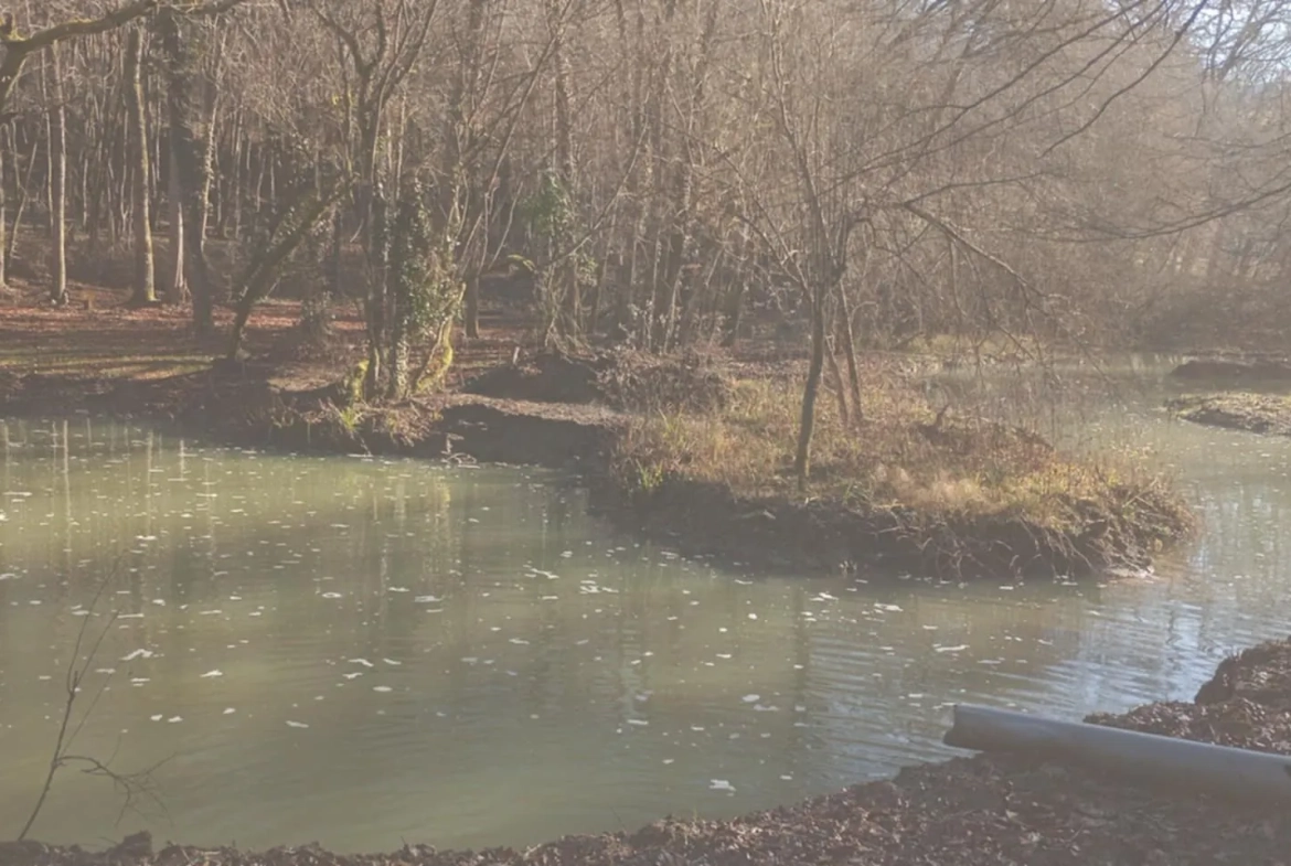 Étang privé de 1,6 ha classé pisciculture à vendre près de Périgueux 
