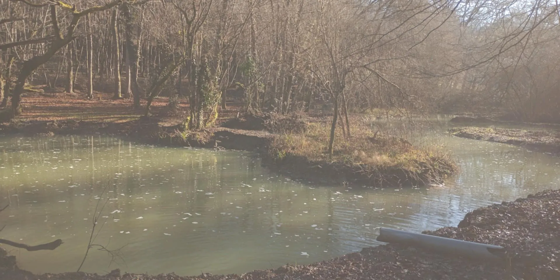 Étang privé de 1,6 ha classé pisciculture à vendre près de Périgueux 