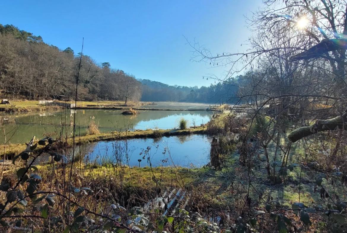 Étang privé de 1,6 ha classé pisciculture à vendre près de Périgueux 