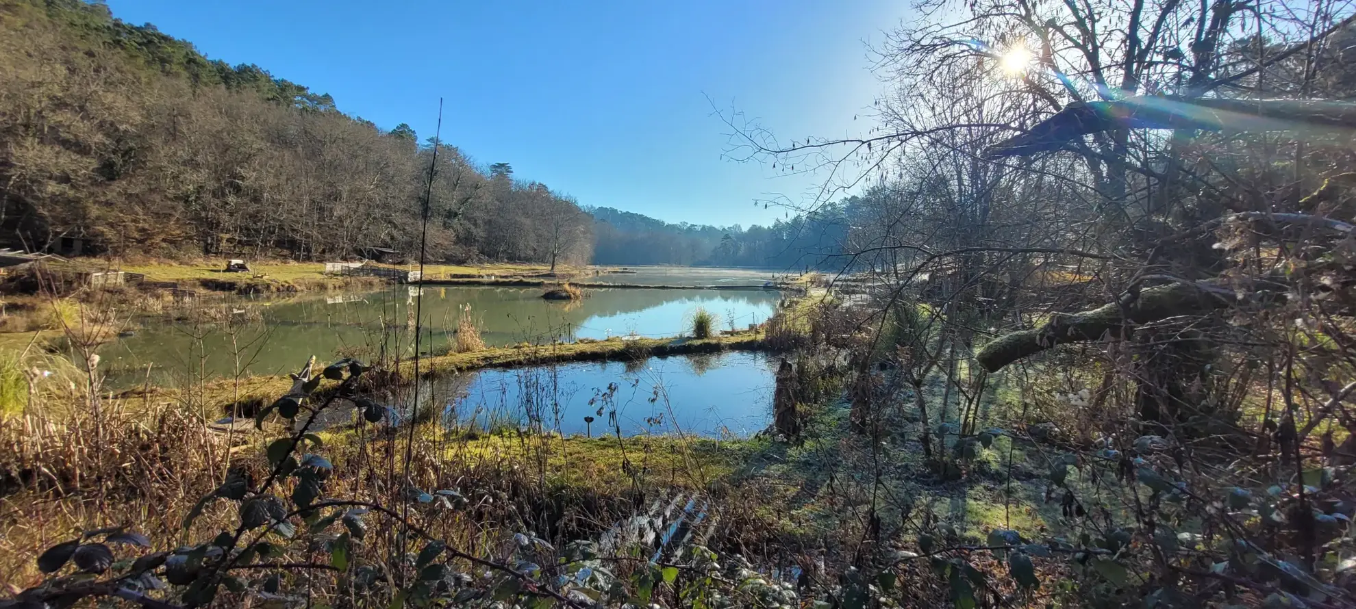 Étang privé de 1,6 ha classé pisciculture à vendre près de Périgueux 