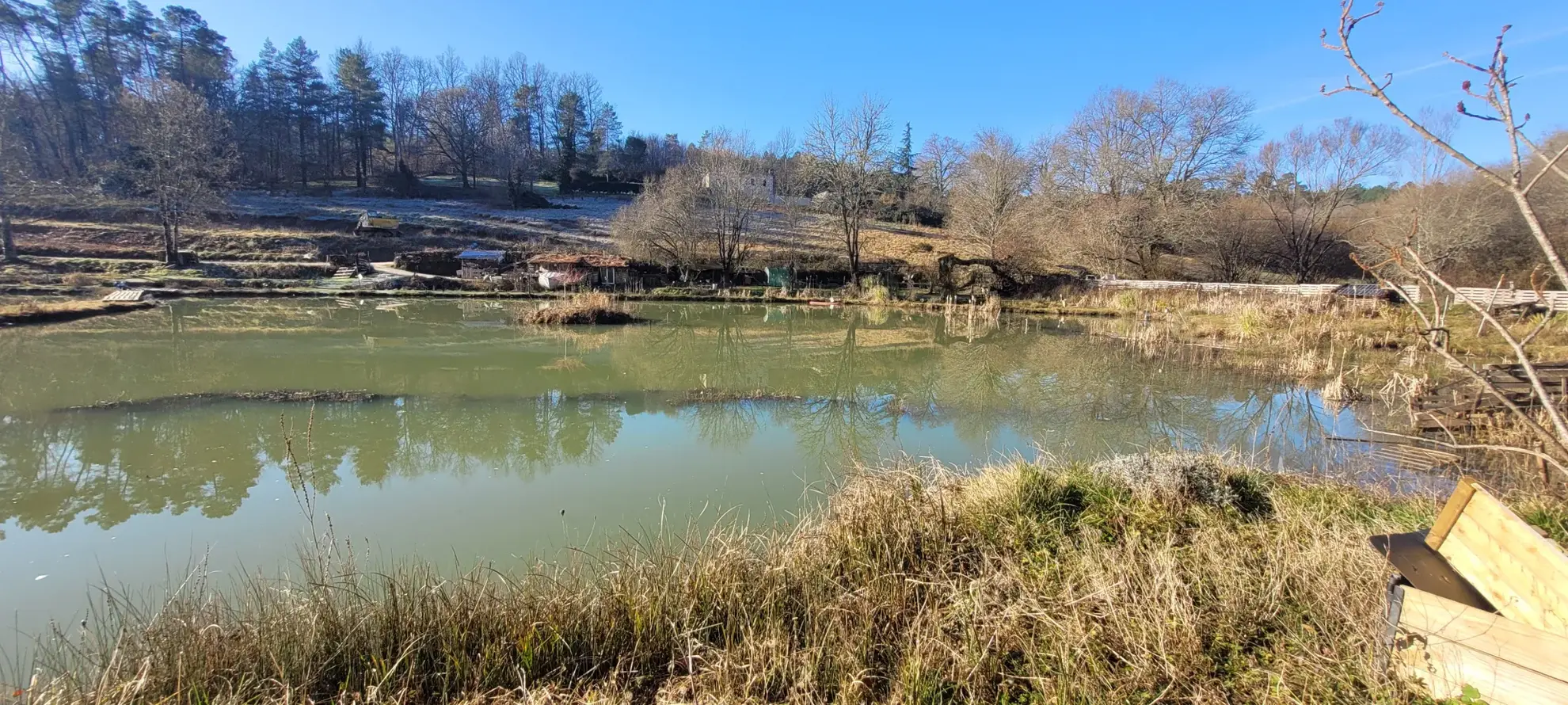 Étang privé de 1,6 ha classé pisciculture à vendre près de Périgueux 