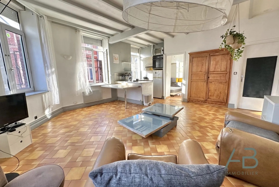 A vendre à Lille Wazemmes, bel appartement T3 lumineux de 71 m² 