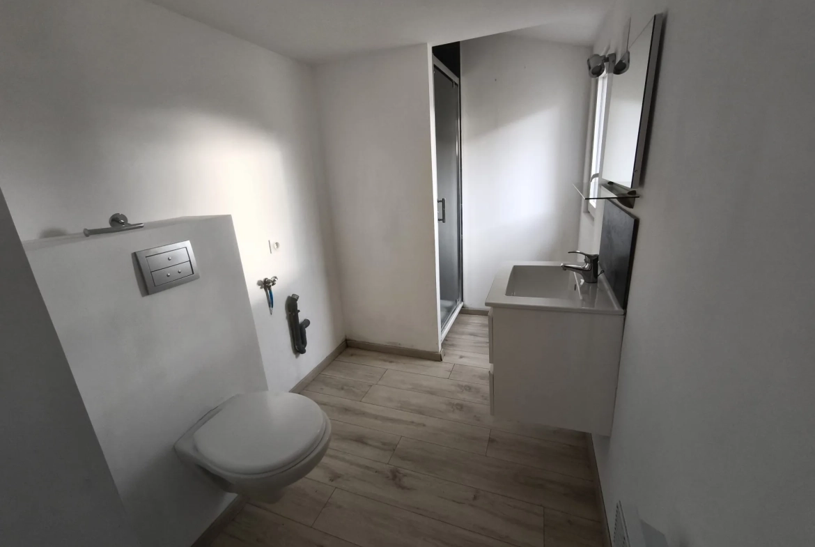 Maison rénovée avec 2 chambres à Segré-en-Anjou-Bleu - Idéal primo-accédant ou investisseur 