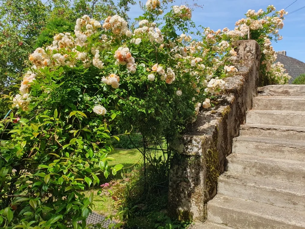 Charmant cottage en Xaintrie avec jardin et vue campagne à Saint-Julien-aux-Bois 