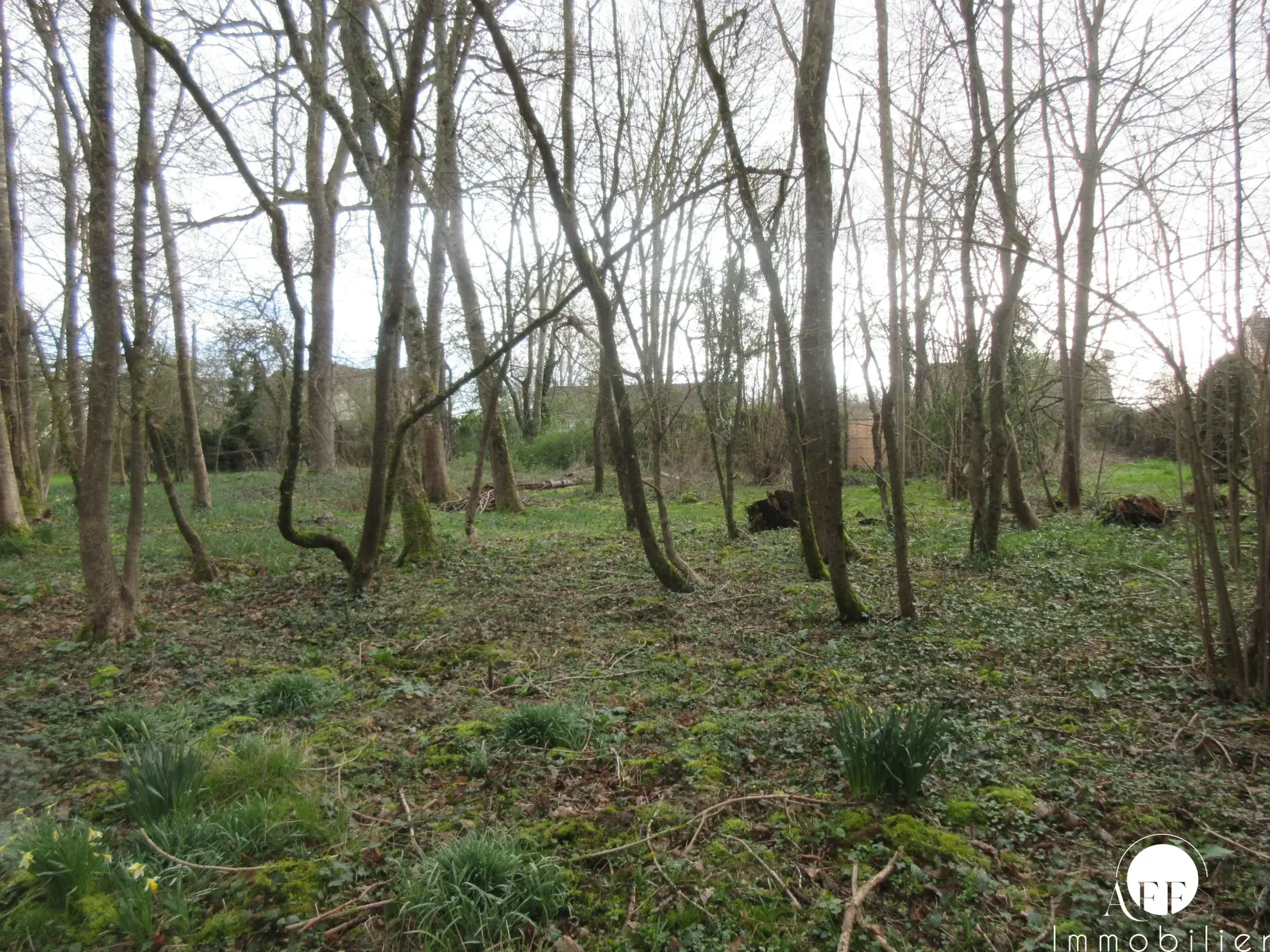 Terrain constructible de 3102 m² à Saint-Siméon, proche Coulommiers 