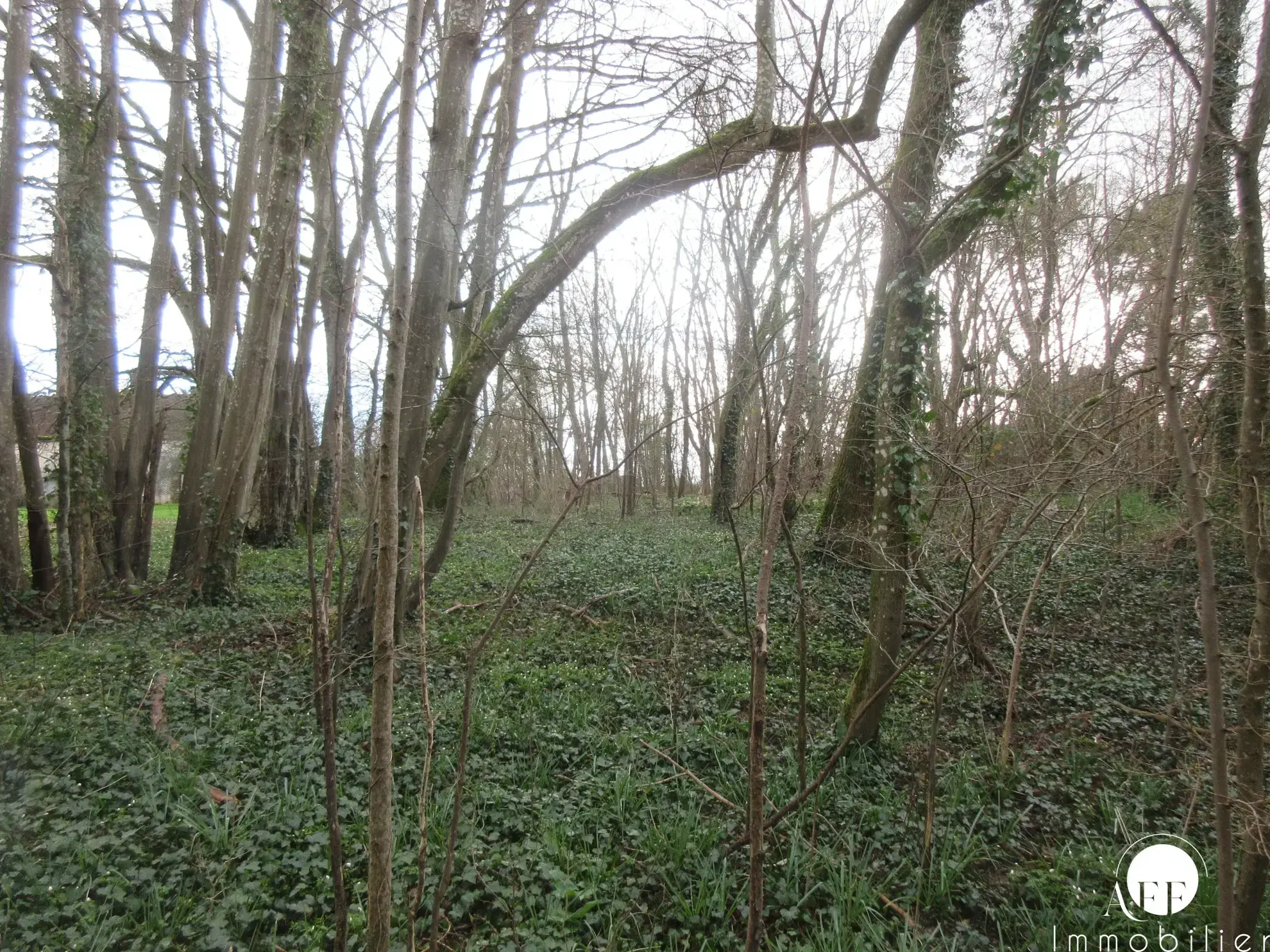 Terrain constructible de 3102 m² à Saint-Siméon, proche Coulommiers 