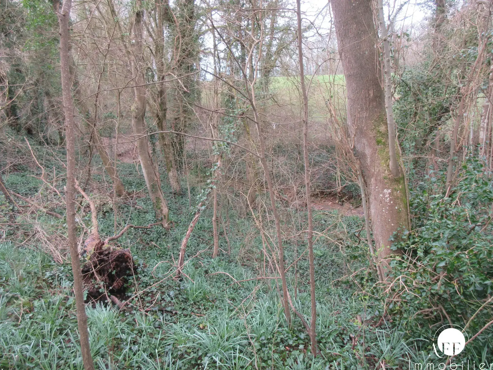 Terrain constructible de 3102 m² à Saint-Siméon, proche Coulommiers 