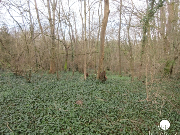 Terrain constructible de 3102 m² à Saint-Siméon, proche Coulommiers