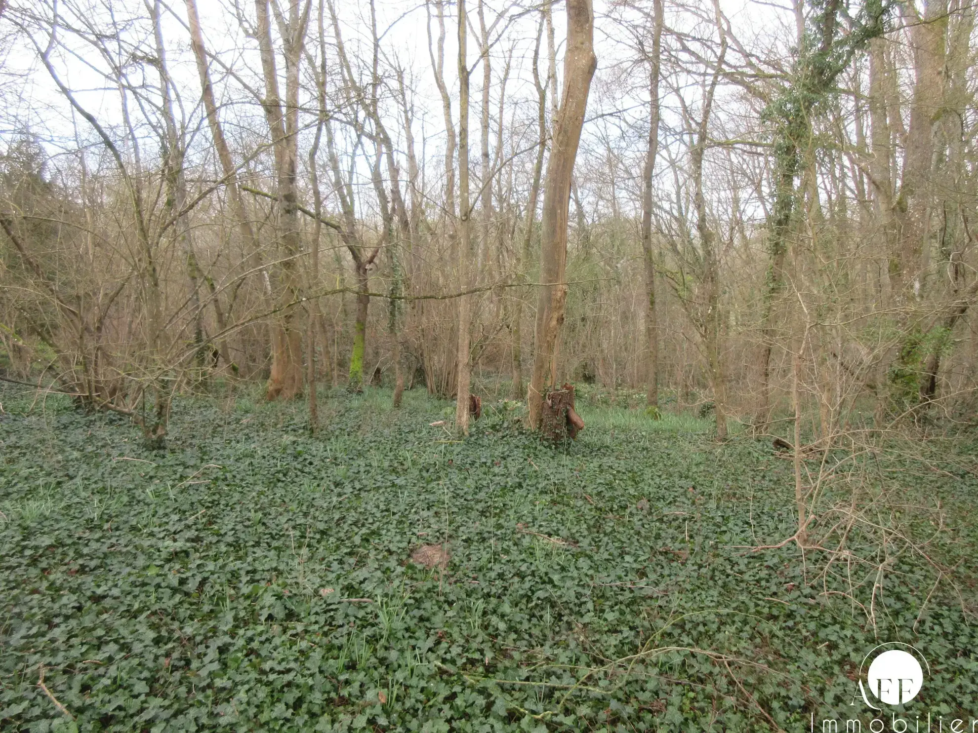 Terrain constructible de 3102 m² à Saint-Siméon, proche Coulommiers 