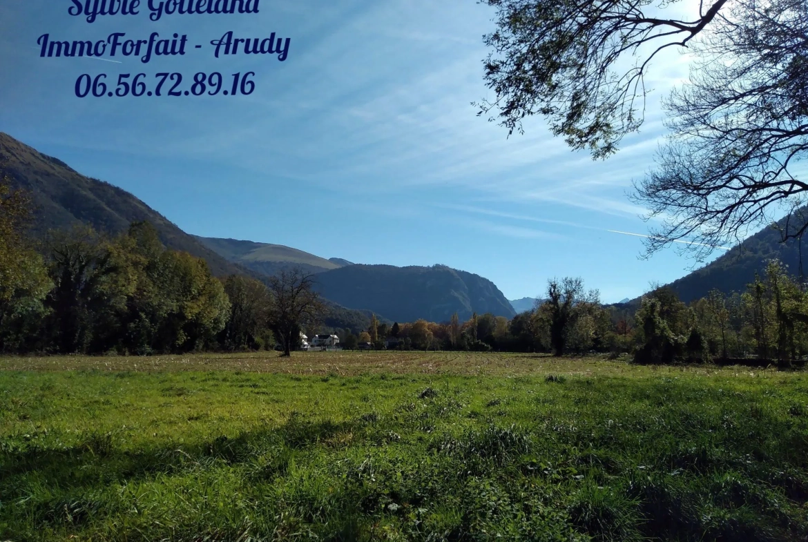 Terrain plat 753 M2 Beau terrain plat de 753 m² à Louvie-Juzon avec vue sur les montagnes 