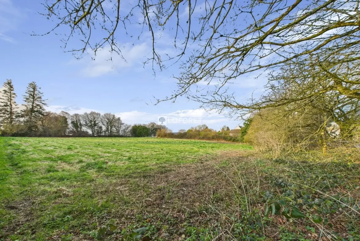 Terrain constructible de 2273 m² à Laz, proche du centre 