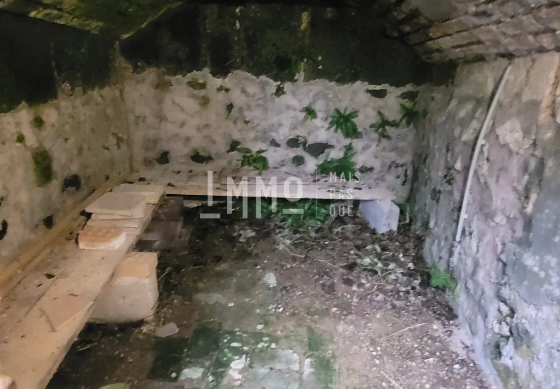 Maison mitoyenne à rénover avec jardin à Montoire-sur-le-Loir 
