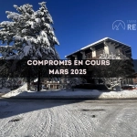 Studio à vendre au cœur des Carroz d'Arâches avec cave et vue montagne
