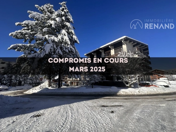 Studio à vendre au cœur des Carroz d'Arâches avec cave et vue montagne