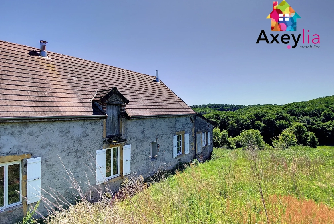 Maison familiale de plain-pied avec grand terrain à Rigny-sur-Arroux 