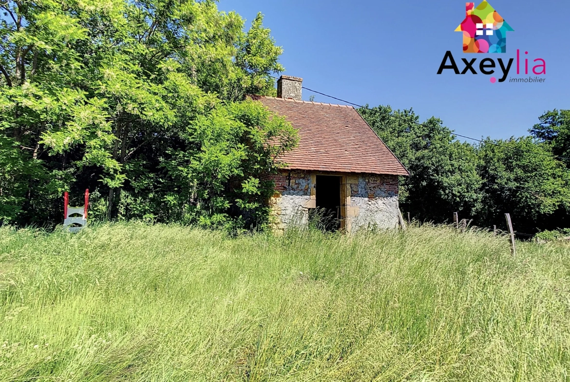 Maison familiale de plain-pied avec grand terrain à Rigny-sur-Arroux 