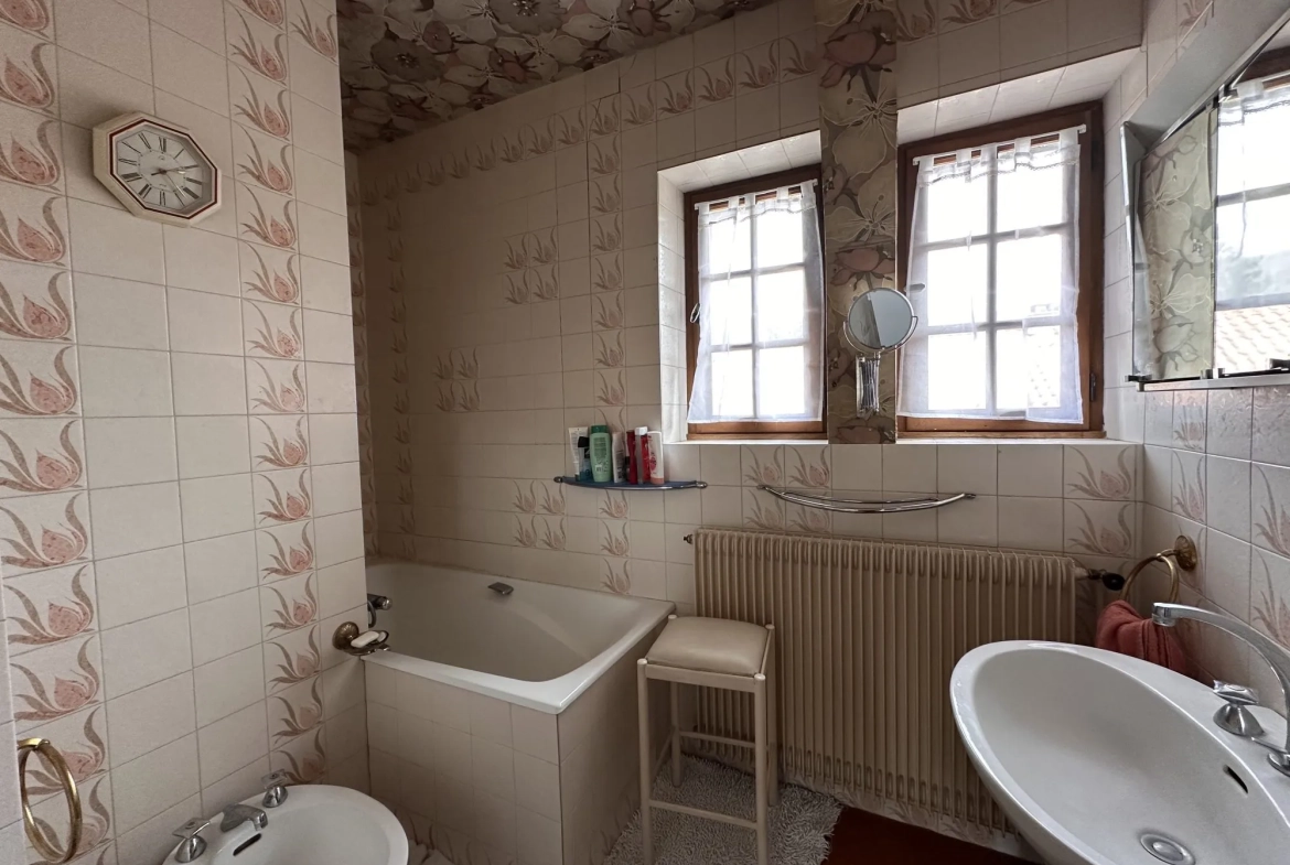 Vente maison à Massiac avec fort potentiel locatif sur grand terrain 