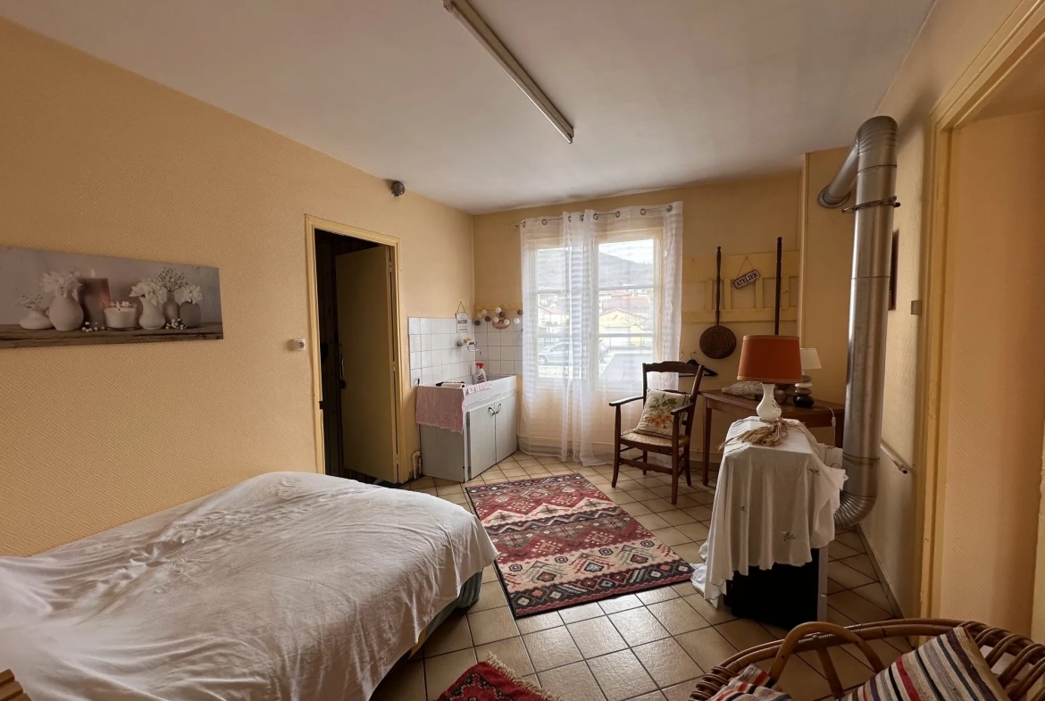 Vente maison à Massiac avec fort potentiel locatif sur grand terrain 