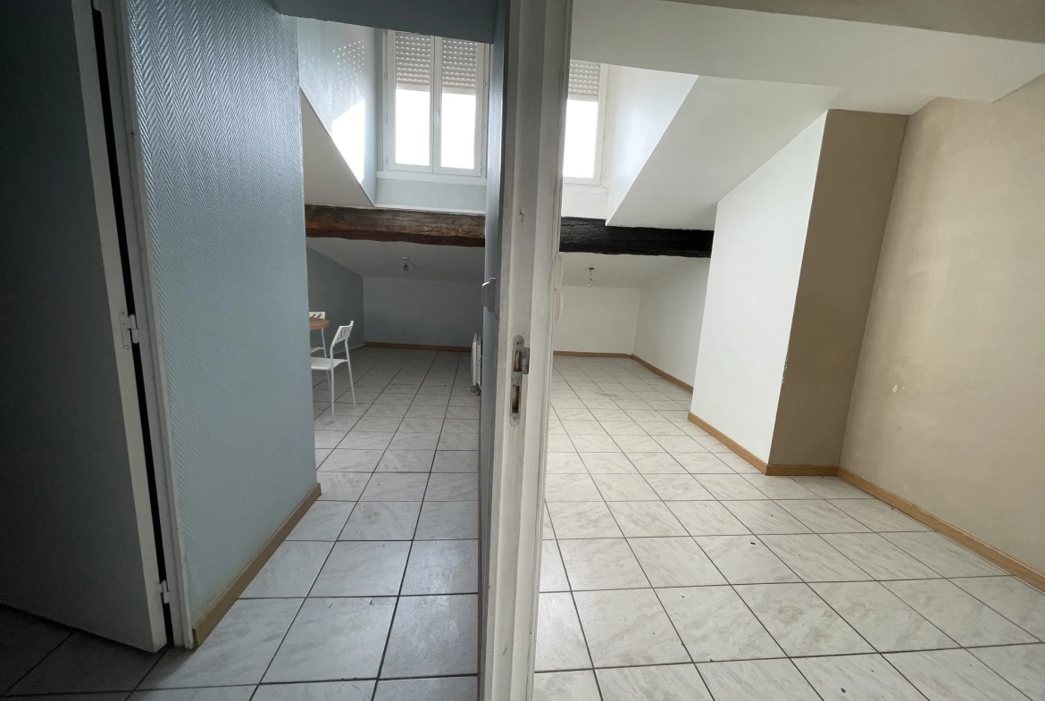 Appartement à vendre Lyon 7, Saint Michel, T2 loué avec kitchenette et salle d'eau 