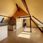 Appartement 3 pièces de 71 m² à vendre à Schiltigheim avec cave et grenier