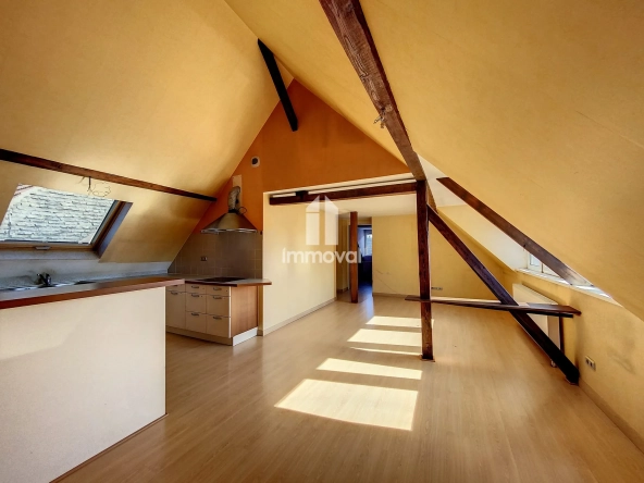 Appartement 3 pièces de 71 m² à vendre à Schiltigheim avec cave et grenier