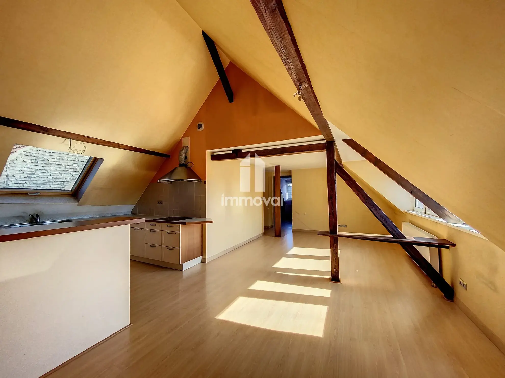 Appartement 3 pièces de 71 m² à vendre à Schiltigheim avec cave et grenier 