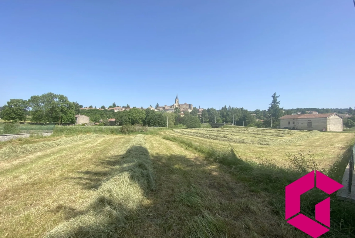 Terrain constructible de 2500 m² à Saint-Pal-de-Chalencon avec vue dégagée 