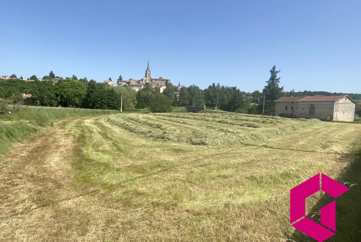 Terrain constructible de 2500 m² à Saint-Pal-de-Chalencon avec vue dégagée 