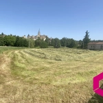 Terrain constructible de 2500 m² à Saint-Pal-de-Chalencon avec vue dégagée