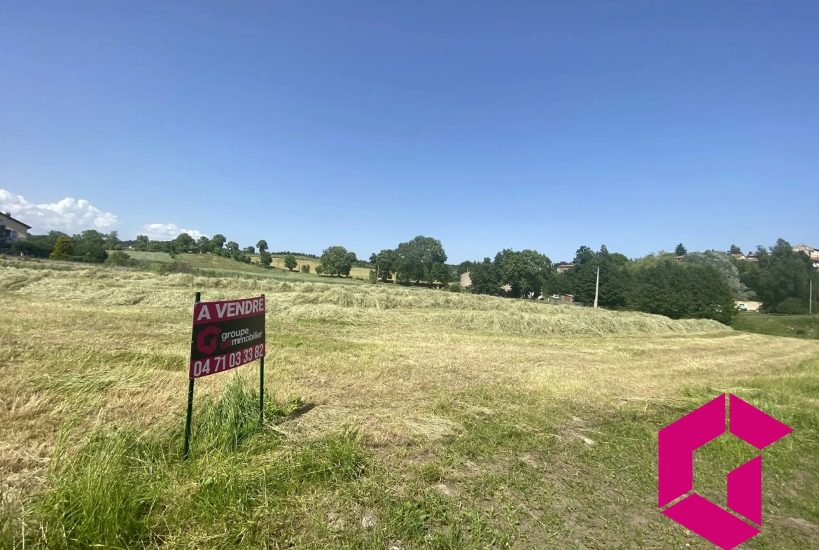 Terrain constructible de 2500 m² à Saint-Pal-de-Chalencon avec vue dégagée 